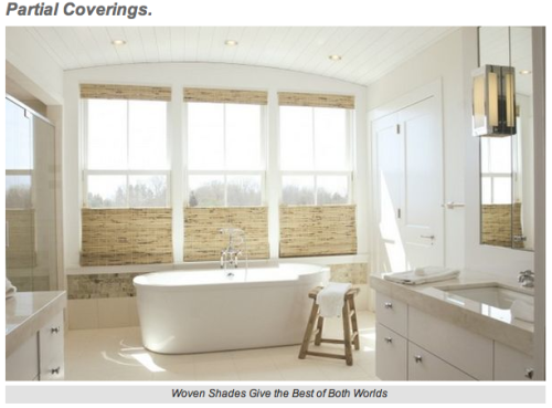 Bathroom Window Treatments