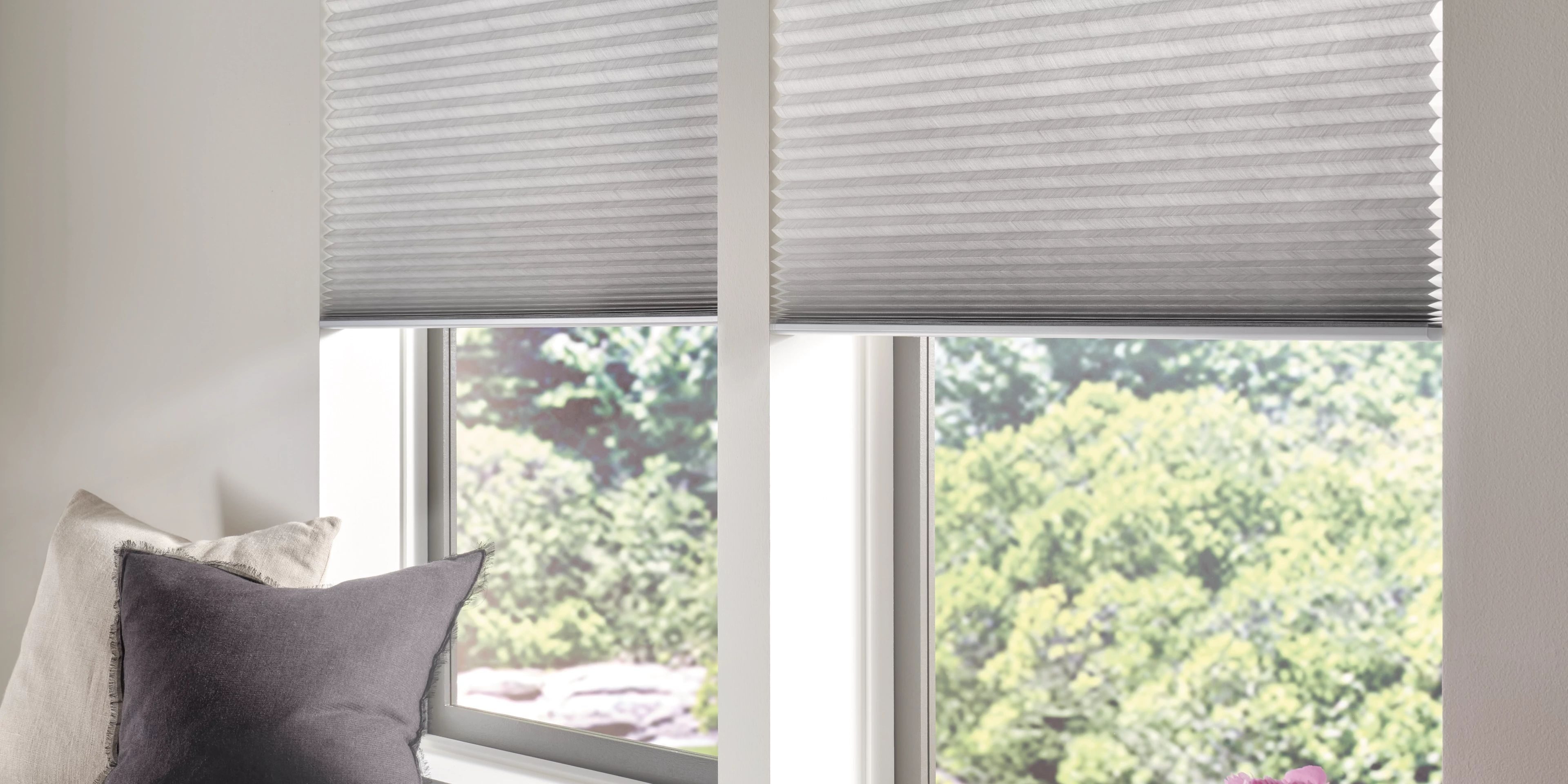 Hunter Douglas cellular shades